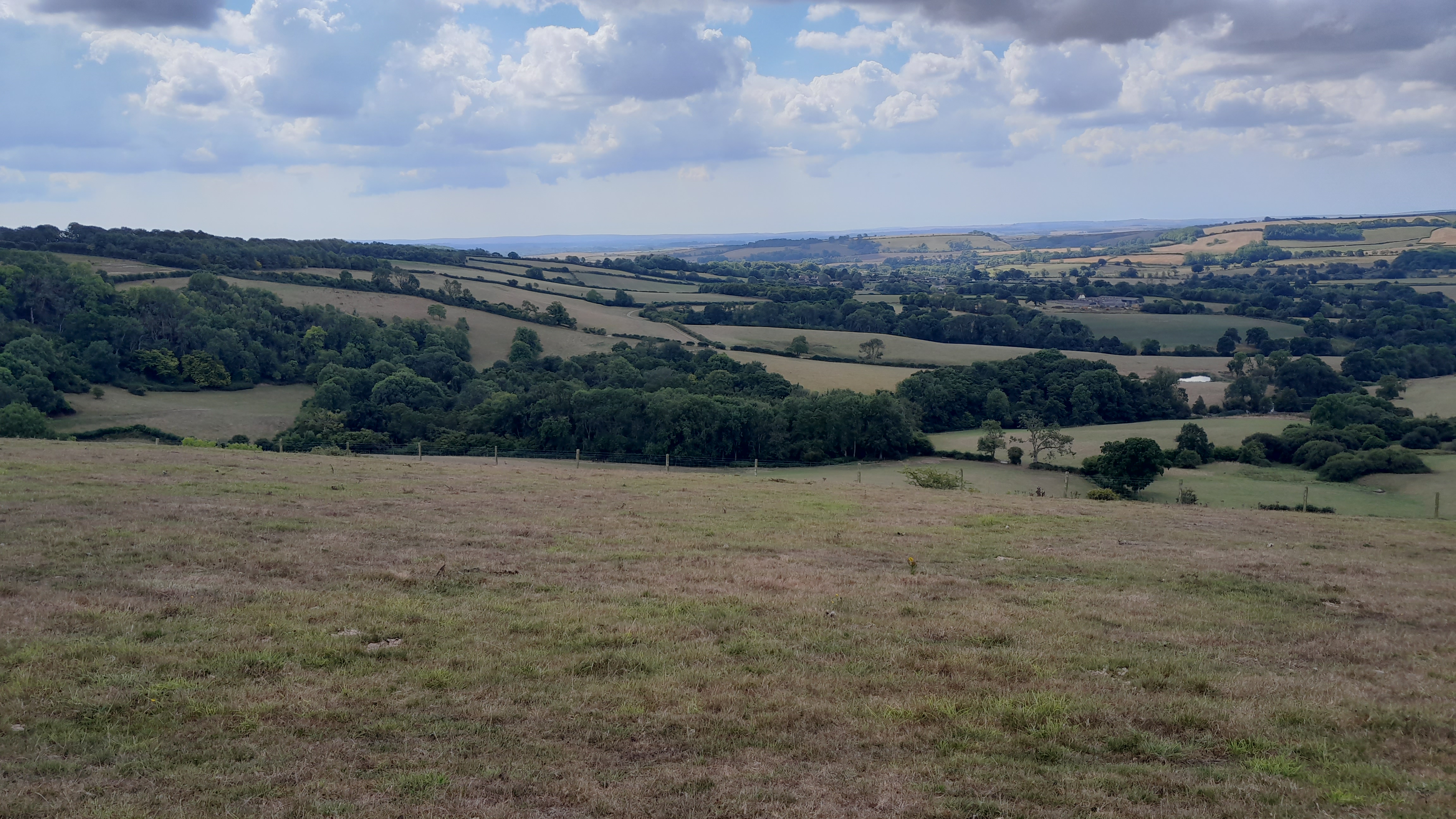 Bulbarrow David Bicker Aug 22.4