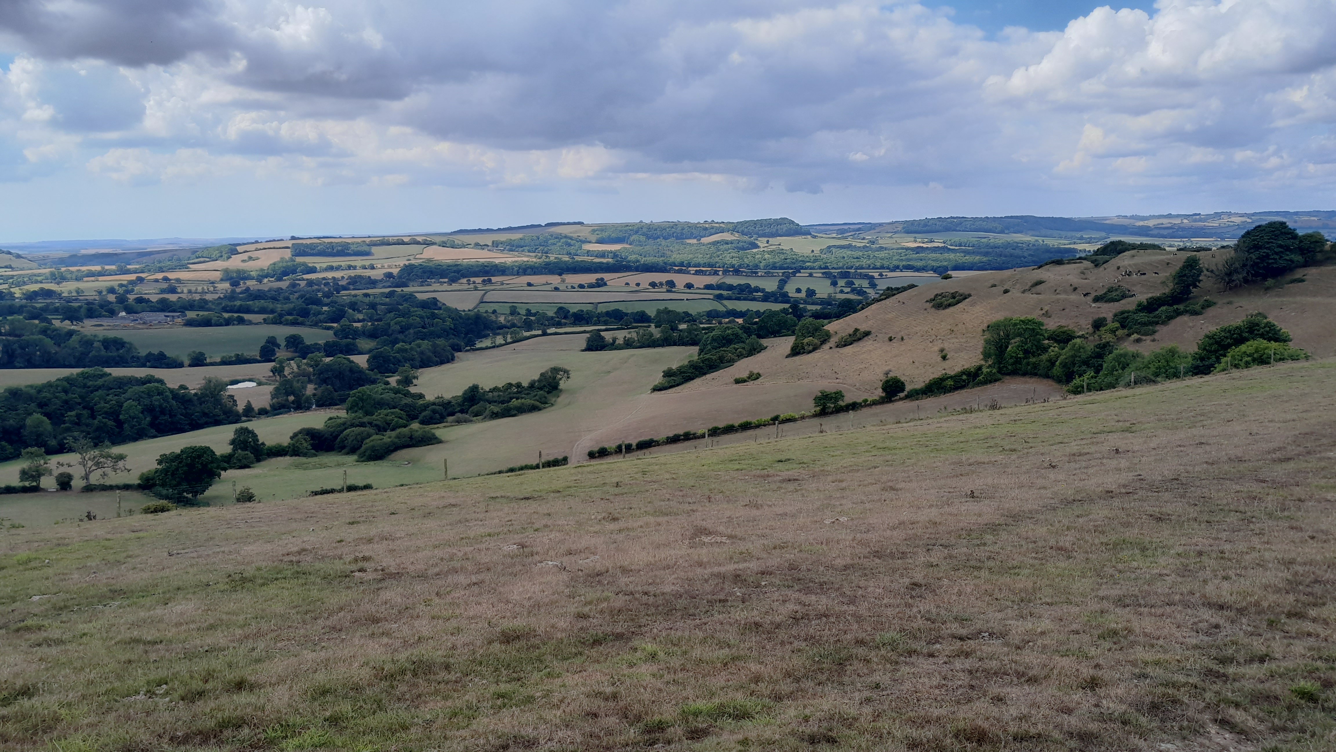 Bulbarrow David Bicker Aug 22