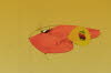 Indoor-0874